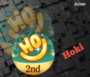 هوكي سيرفر 1