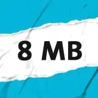 8M