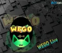 ويجو بارتي سيرفر 3