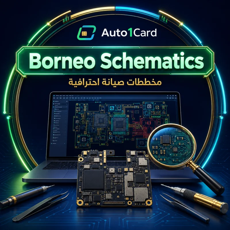 Borneo – تفعيل أو إعادة تفعيل 3 أشهر لحساب واحد