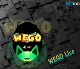 ويجو بارتي سيرفر 1